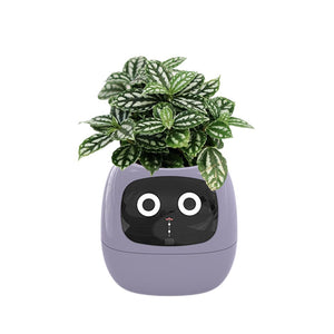 Meet Ivy - AI Powered GrowBuddy Smart Plant Care System