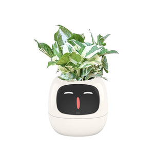 Meet Ivy - AI Powered GrowBuddy Smart Plant Care System