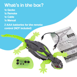 RC Robo-Lizard