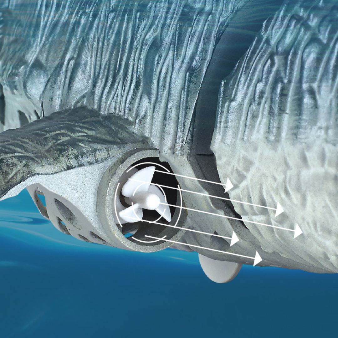 Remote Control Mosasaurus Toy Boat